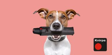 Knirps Taschenschirm T.200 ack Russell Hund hält einen schwarzen Knirps T.200 Regenschirm im Maul – witziges Motiv mit hochwertigem Taschenschirm von Knirps