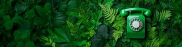 grünes Telefon auf Dschungelhintergrund