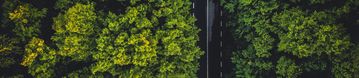 Drohnenaufnahme von Bäumen mit Strasse als Symbol für Nachhaltigkeit